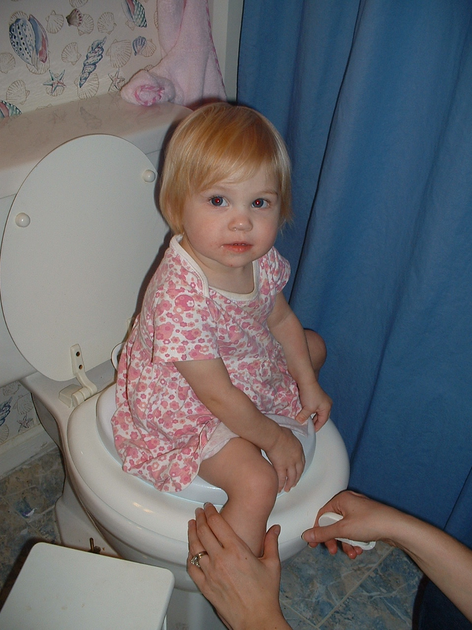 Potty Time Girls But potty training, i do not