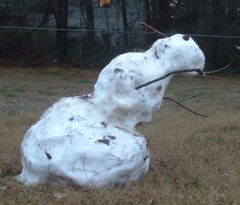 vivalasnowman.JPG