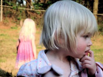 2008picnicretouch-02.jpg