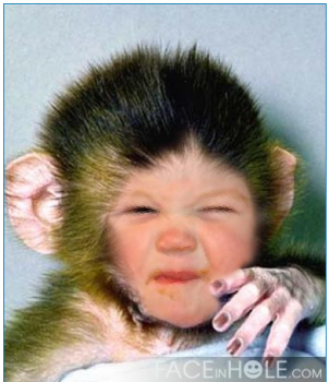 chamonkey.png